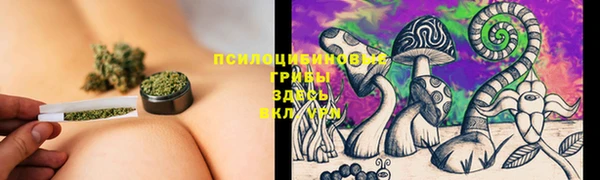 PSILOCYBIN Абаза