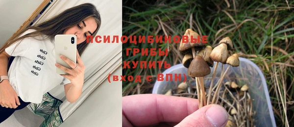 PSILOCYBIN Абаза