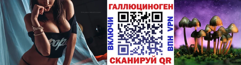 как найти   Абаза  mega ссылка  Галлюциногенные грибы прущие грибы 